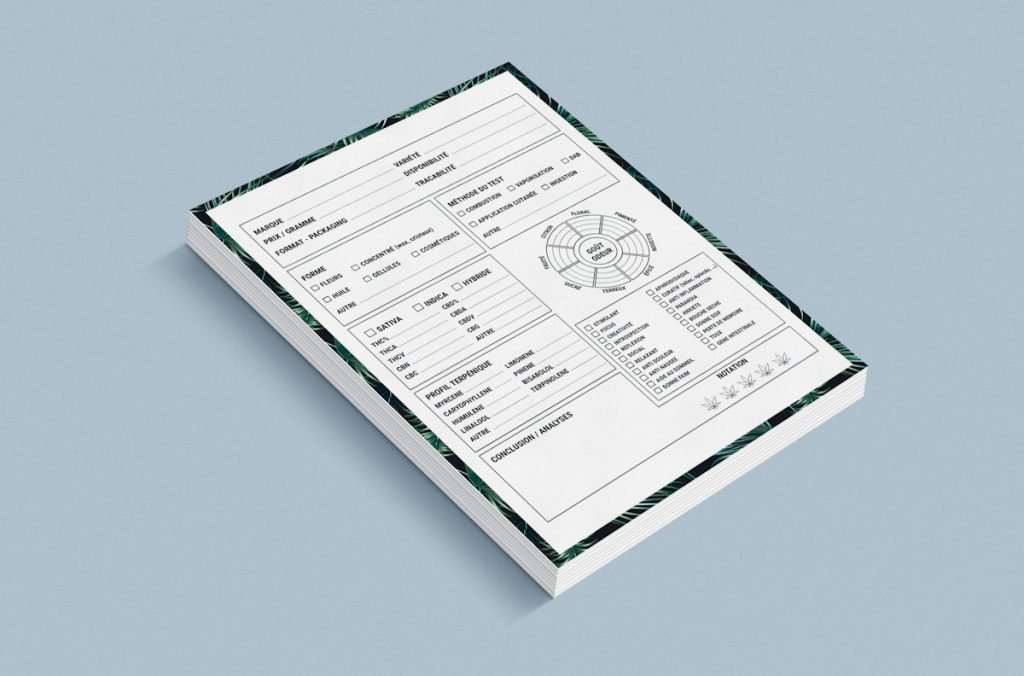 Overcoming Common AI Financial Modelling Errors with Torly.ai Dedicated Reasoning Agents