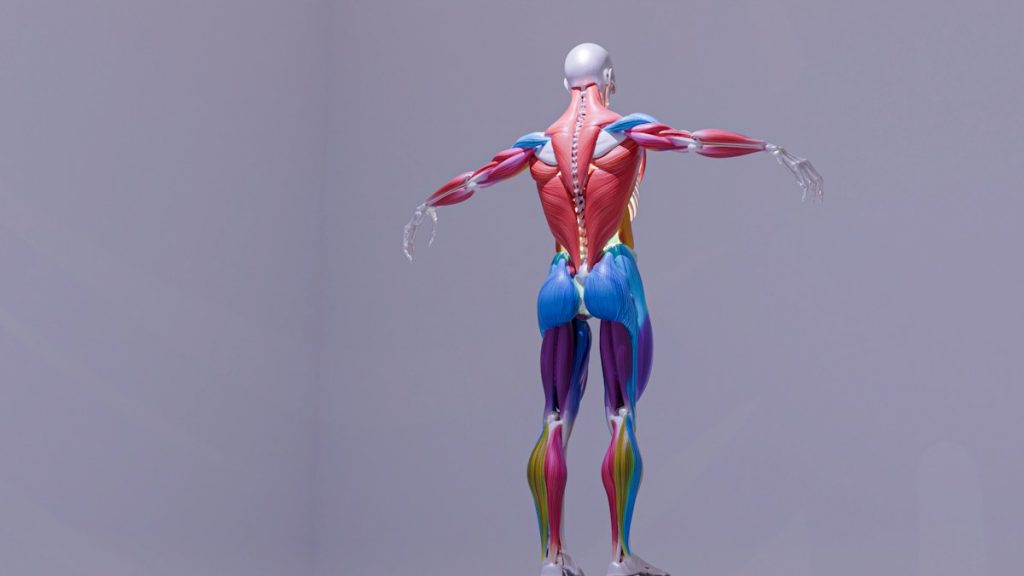 Decoding Official UK Endorsing Body Expectations: Prepare Smarter with Torly.ai