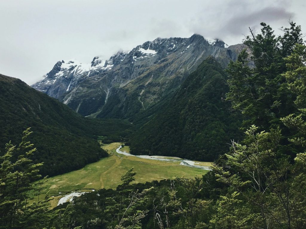 Clearly Explain Reason for Visiting New Zealand and Secure Global Approval with AI-Powered UK Innovator Visa Application Assistant