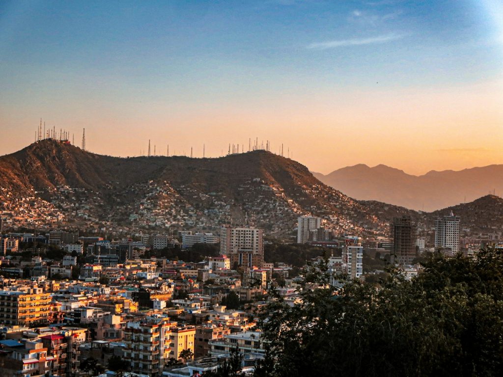 Navigating High-Scrutiny Global Applications: Torly.ai Validates UK Innovator Visa Compliance