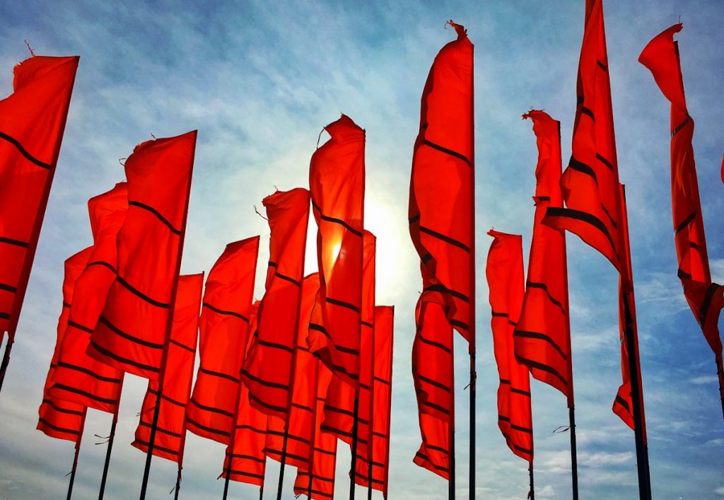 Eliminate Red Flags Before Submission: Torly.ai Protects Your UK Innovator Application