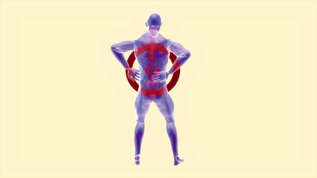 Mastering Endorsing Body Standards: Prepare Your Application with Torly.ai