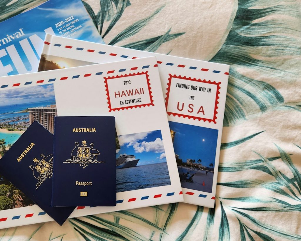 Mastering Digital Passenger Declarations: How AI-Powered UK Innovator Visa Application Assistant Simplifies International Compliance