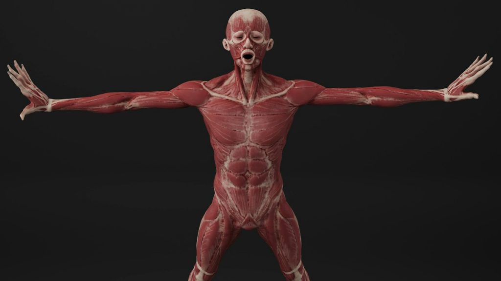 Official UK Endorsing Bodies: Aligning Your Application Perfectly with Torly.ai